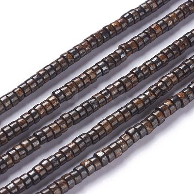 Natural Bronzite Bead Strands G-P444-06B-1