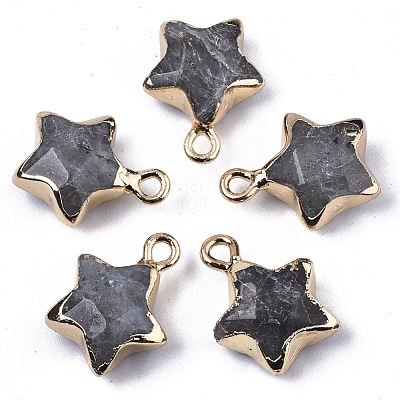 Natural Labradorite Pendants G-N326-36B-1