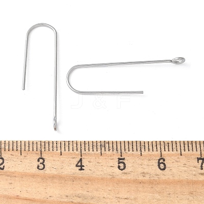 316 Surgical Stainless Steel Earring Hooks STAS-Z124-02D-P-1