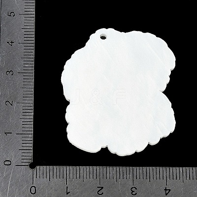 Acrylic Pendants OACR-V001-03F-1