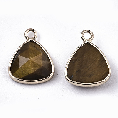 Natural Tiger Eye Charms G-N326-48B-1
