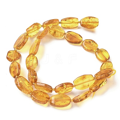 Natural Amber Beads Strands G-L095-C01-05-1
