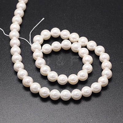 Shell Pearl Beads Strands X-BSHE-E008-12mm-12-1