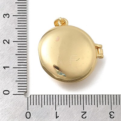 Brass Micro Pave Clear Cubic Zirconia Locket Pendants KK-D431-031C-G-1
