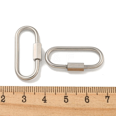 Non-Tarnish 304 Stainless Steel Screw Carabiner Lock Charms STAS-C092-05C-P-1