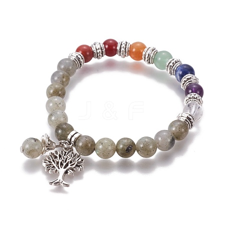 Chakra Jewelry BJEW-I273-A04-1