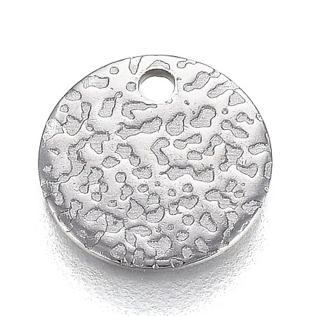 304 Stainless Steel Charms STAS-I166-21B-1