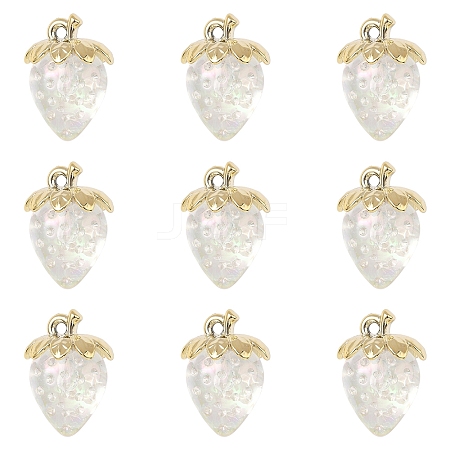 10Pcs Transparent Acrylic Pendants MACR-FS0002-08A-1