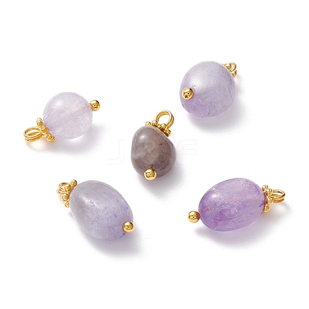 Natural Amethyst Charms PALLOY-JF01092-02-1