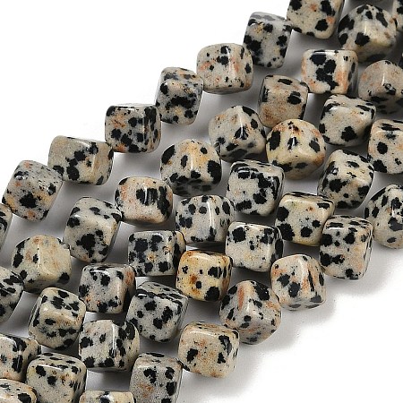 Natural Dalmatian Jasper Beads Strands G-A257-A17-01-1