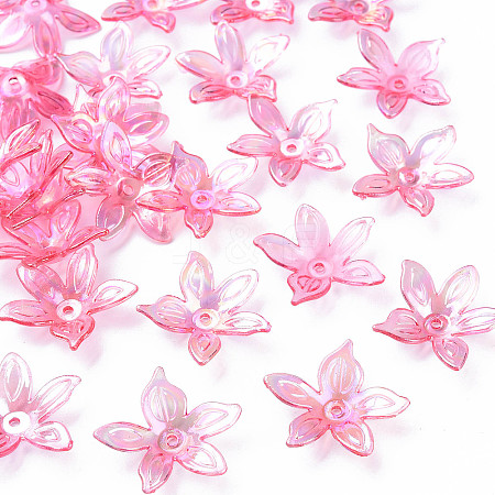 Transparent Acrylic Beads LS-MACR-S373-102-C01-1