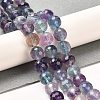Natural Fluorite Beads Strands G-K345-A02-02A-2