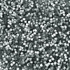Imitation Cat Eyes Glass Seed Beads X-SEED-H003-03K-3