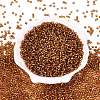 8/0 Glass Seed Beads SEED-A005-3mm-22C-2