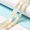 Natural White Moonstone Beads Strands G-G980-17-2