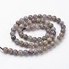 Natural Labradorite Bead Strands G-J352-01-10mm-2