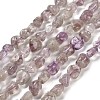 Natural Purple Lodolite Quartz Beads Strands G-P497-01E-39A-1