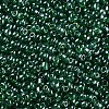 Glass Seed Beads SEED-US0003-3mm-107-2