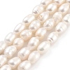 Natural Cultured Freshwater Pearl Beads Strands PEAR-P062-06A-2