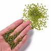 8/0 Glass Seed Beads X2-SEED-A005-3mm-24-4