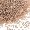 MIYUKI Round Rocailles Beads SEED-G009-RR2370-1