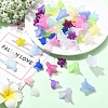400Pcs 2 Styles Transparent Acrylic Beads FACR-YW0001-11-4