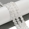 Natural Quartz Crystal Beads Strands G-P544-E14-01-2