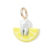 Animal Theme Brass Enamel Pendants KK-CBAE20A-02A-G-1