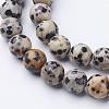 Natural Dalmatian Jasper Beads Strands GSR004-2