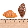 Opaque Resin Imitation Food Cabochons CRES-D329-03-3
