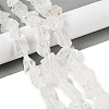 Natural Quartz Crystal Beads Strands G-Q023-A02-01-2