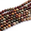 Natural Polychrome Jasper/Picasso Stone/Picasso Jasper Round Bead Strands X-G-J303-16-6mm-1