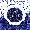 Picasso Spray Painted Glass Seed Beads SEED-T006-04-10-1