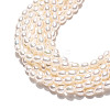 Natural Cultured Freshwater Pearl Beads Strands PEAR-N024-04-4AB-3