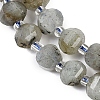 Natural Labradorite Beads Strands G-G182-B02-02-4