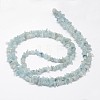 Chips Natural Aquamarine Beads Strands G-N0164-51-3