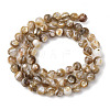 Natural Freshwater Shell Beads Strands SHEL-K006-71A-2