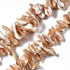 Natural Trochid Shell/Trochus Shell Beads Strands SSHEL-S266-012-1