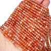 Natural Sunstone Beads Strands G-L597-B02-02-1