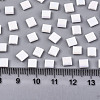 2-Hole Glass Seed Beads SEED-S031-L-ST401-2