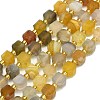 Natural Botswana Agate Beads Strand G-I376-D91-01-1