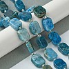 Natural Apatite Beads Strands G-C098-A09-01-2