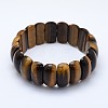 Natural Tiger Eye Beads Stretch Bracelets BJEW-I265-B03-2