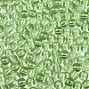 FGB Transparent Glass Seed Beads SEED-N013-01A-07-3