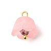 Transparent Acrylic Charms PALLOY-JF01603-02-3