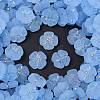 Frosted Transparent Acrylic Beads OACR-P029-19B-01-1