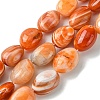 Natural Red Botswana Agate Beads Strands G-G117-A05-06-1