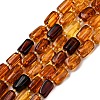 Gradient Color Natural Amber Beads Strands G-F803-D01-04-2