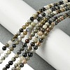 Natural Silver Leaf Jasper Beads Strands G-K365-C05-01-2