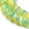 Natural Selenite Dyed Beads Strands G-P493-02K-4